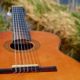 guitar, musical instrument, stringed instrument