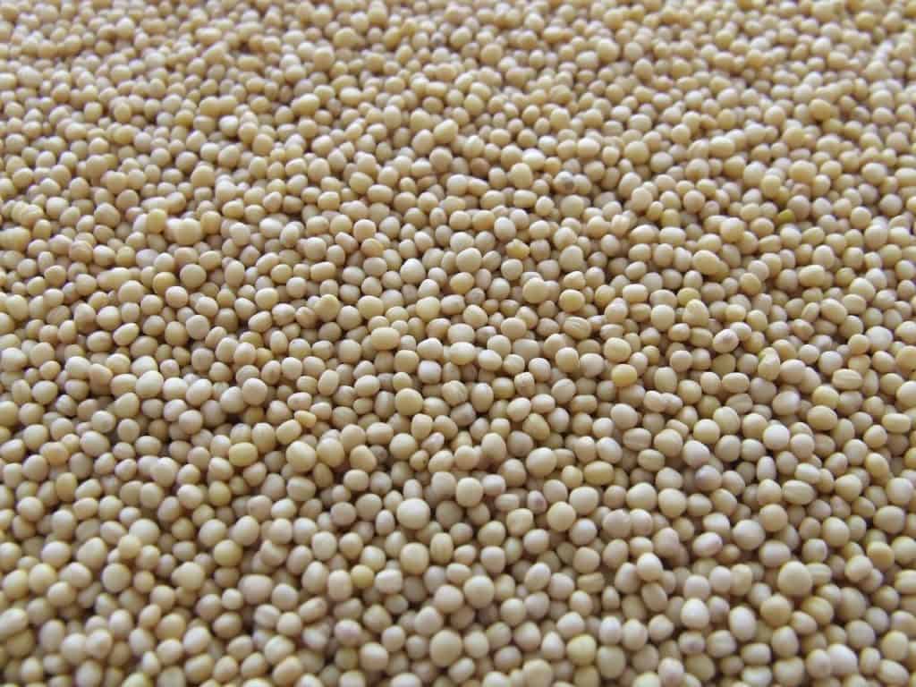 mustard, seeds, pepper