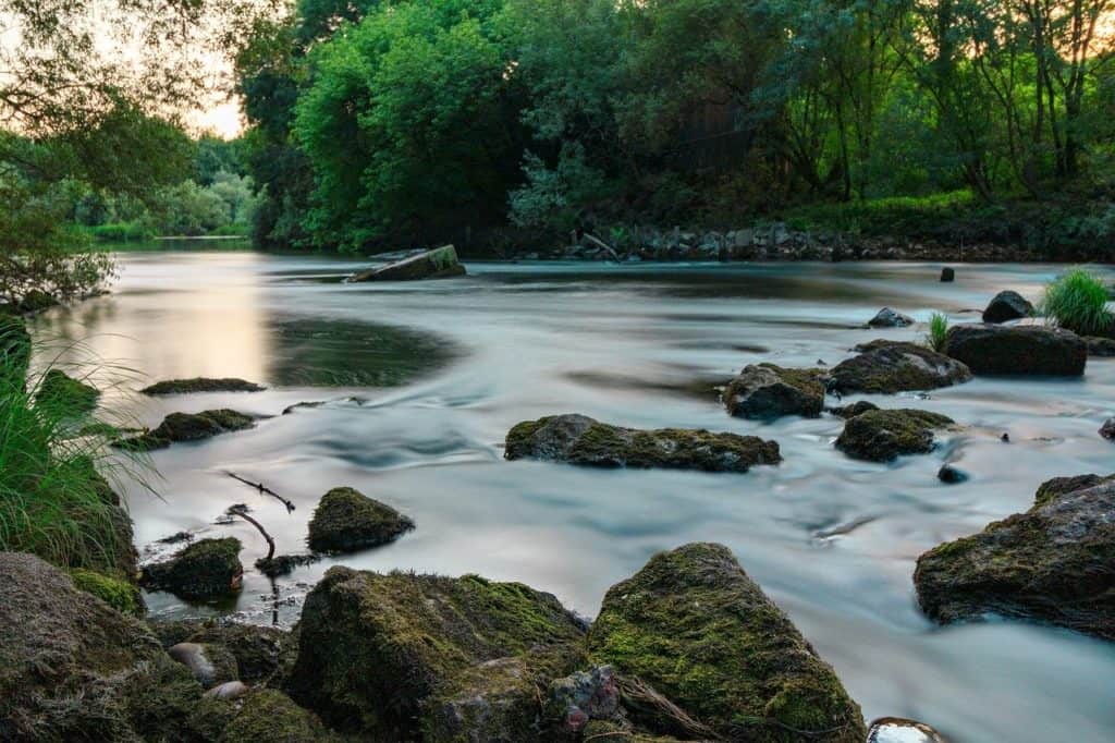 river, tea, miño