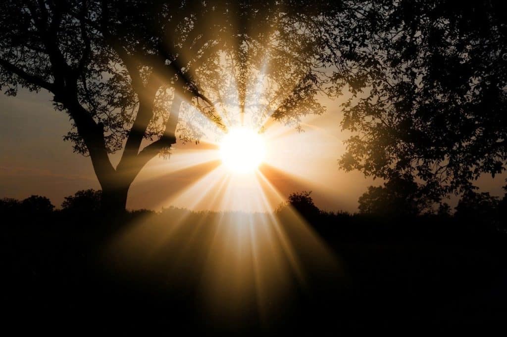 sun, dawn, nature