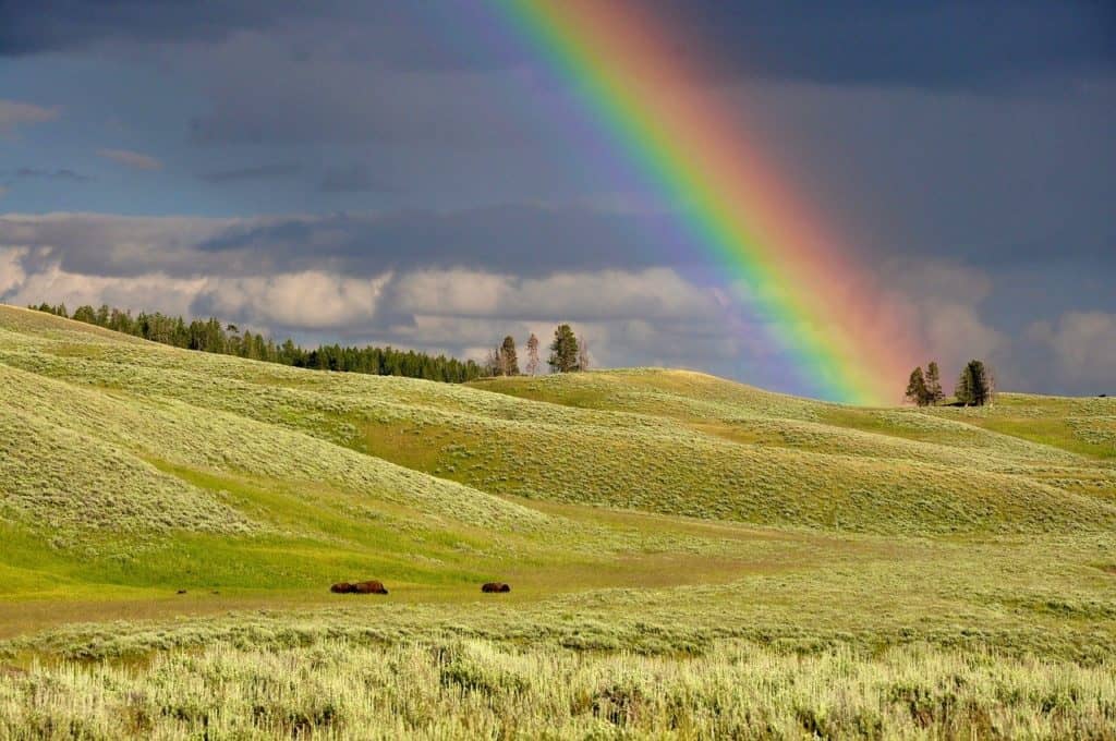 rainbow, hills, meadows