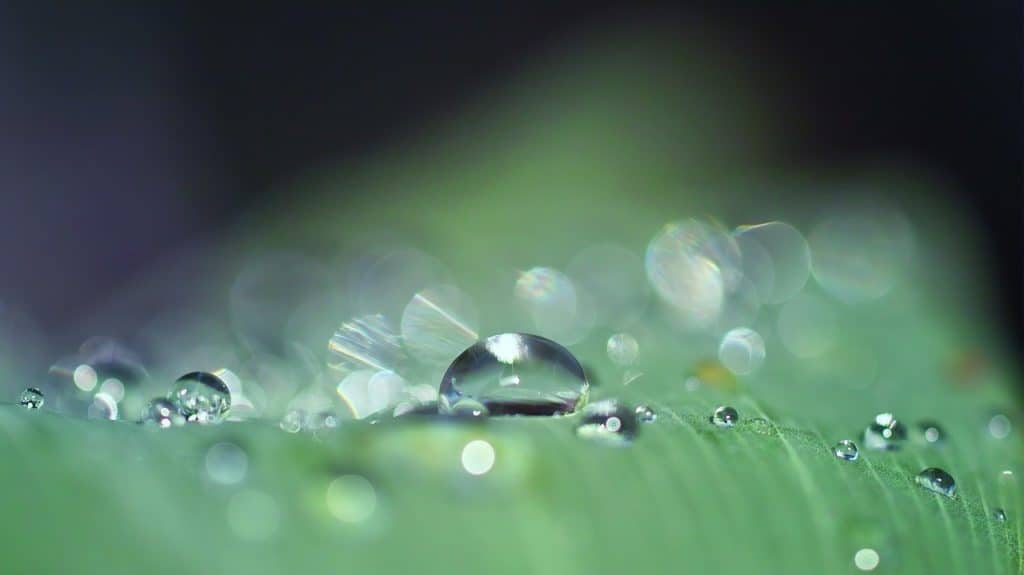 drop of water, dew, close up-3671613.jpg