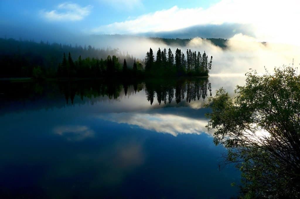lake, fog, reflection-6322001.jpg