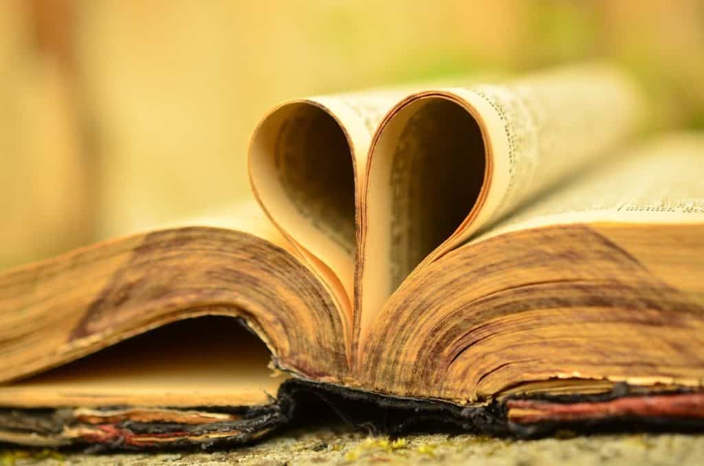 book, bible, old-897834.jpg