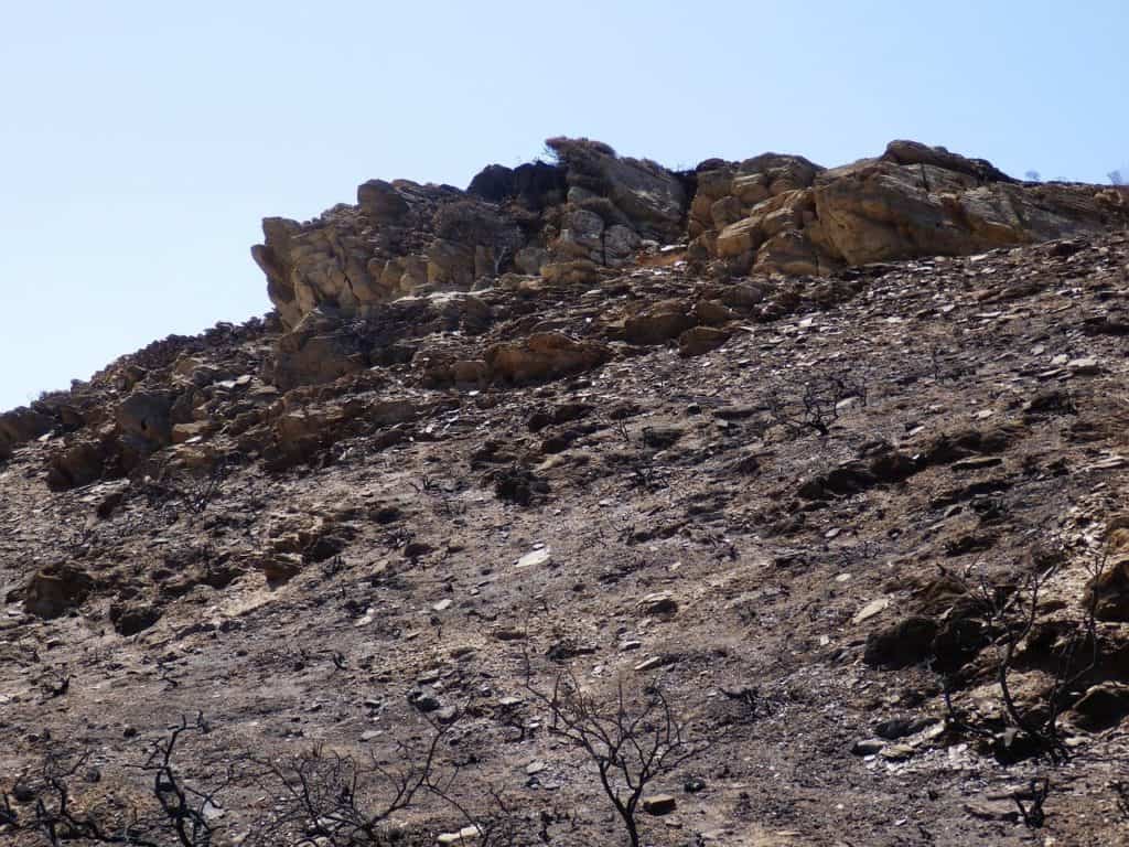 burned land, scorched earth, ashes-174452.jpg
