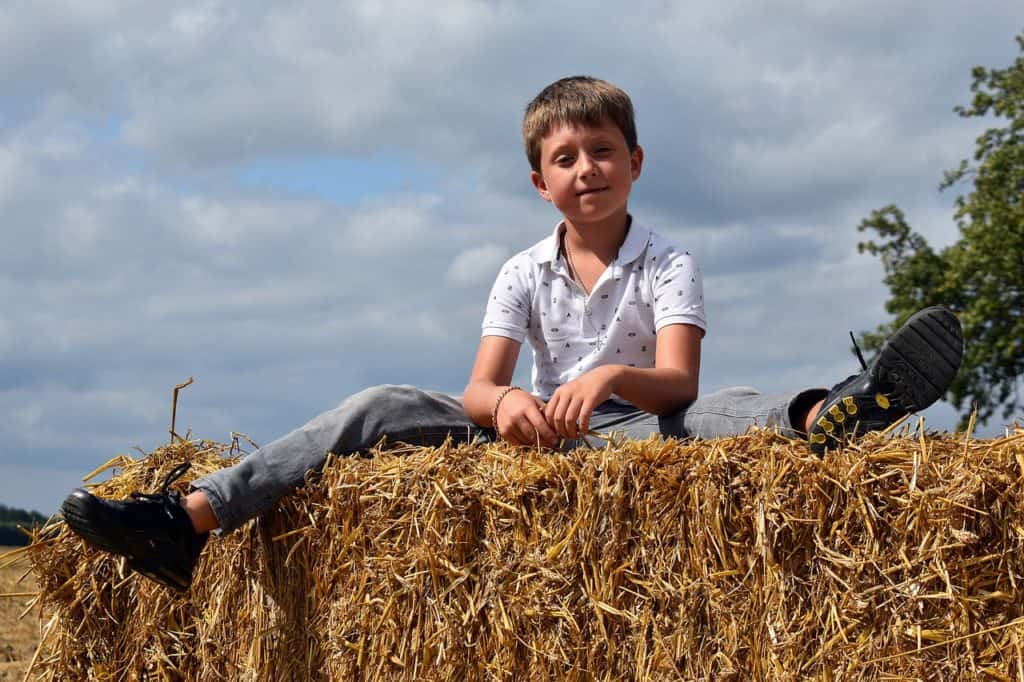 kid, boy, outdoors-6566883.jpg