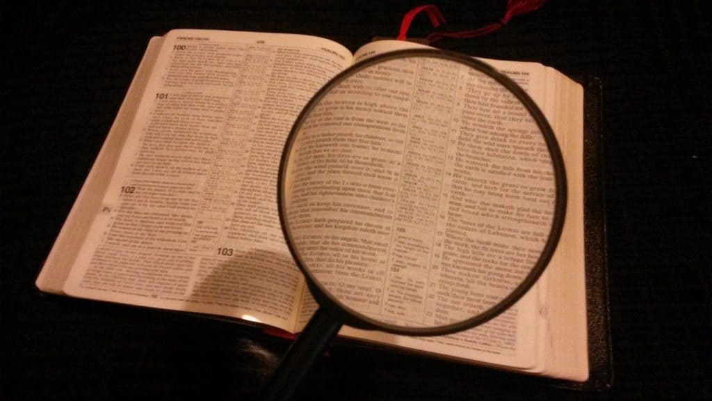 magnifying glass, magnified, magnifying-981675.jpg