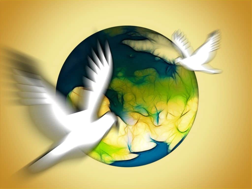 pigeons, peace, symbol-65339.jpg