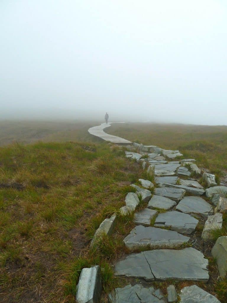 misty, fog, walk-272587.jpg